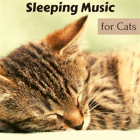 cat sleep music|songs that make cats sleep.